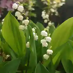 海蔵寺の自然