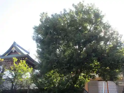 重秀寺(東京都)