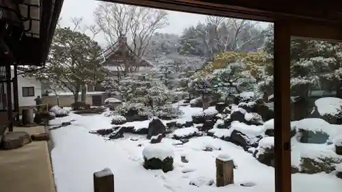 妙満寺の庭園