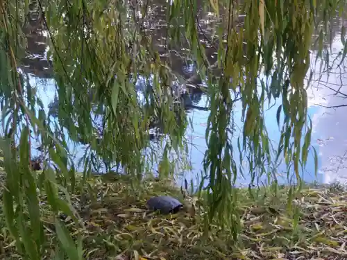 菊田神社の自然