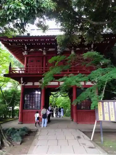 本土寺(千葉県)