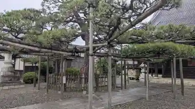 東雲寺(滋賀県)