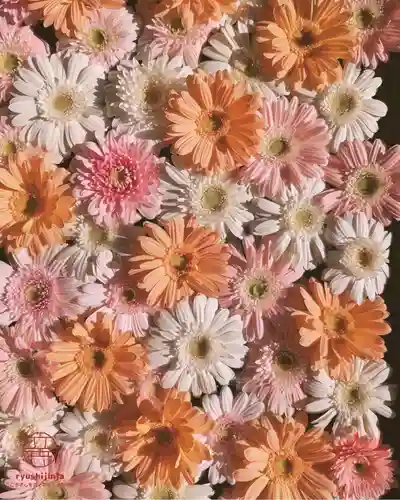 立志神社(滋賀県)