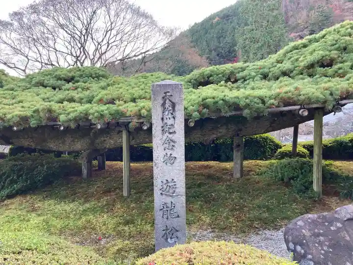 善峯寺の自然