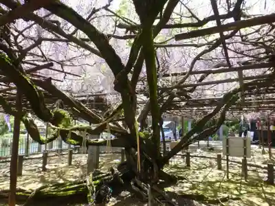 定禅寺(福岡県)