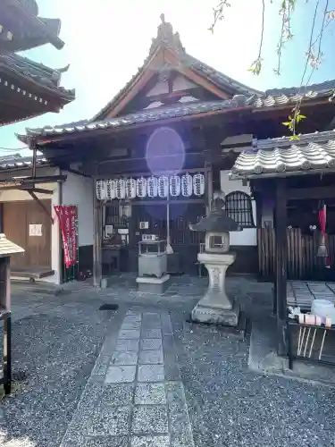 地蔵院（椿寺）(京都府)
