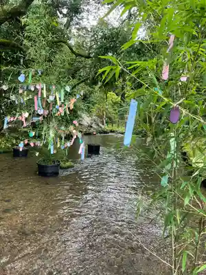 賀茂別雷神社（上賀茂神社）(京都府)
