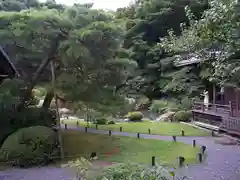 青蓮院門跡の庭園