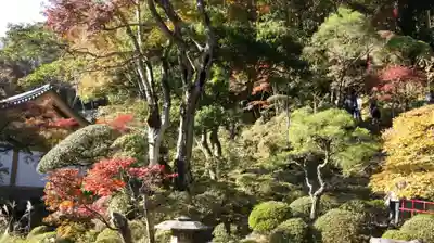 修禅寺(静岡県)