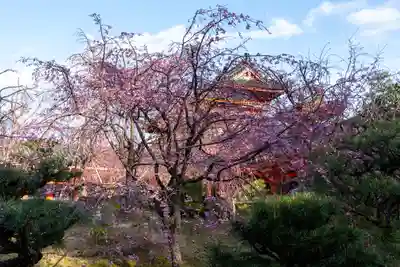 平安神宮(京都府)