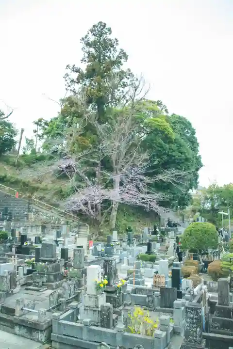 正安寺(神奈川県)