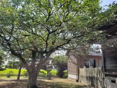 八幡社のその他建物