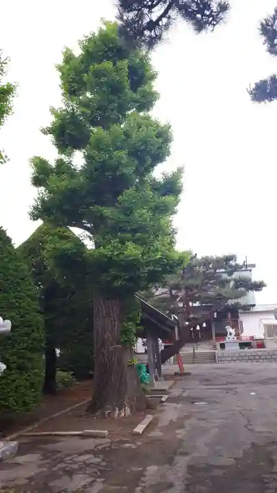 稲荷神社(鍛冶稲荷神社)(北海道)