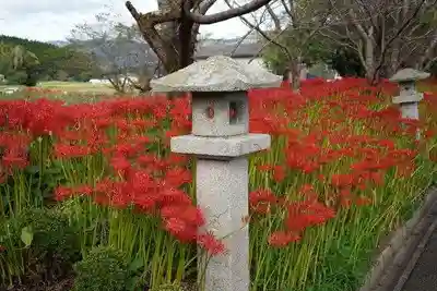 鰐鳴八幡宮(山口県)