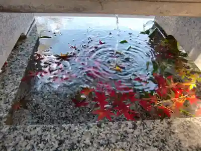 大宮・大原神社(千葉県)