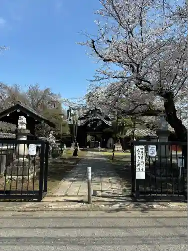 観音寺（世田谷山観音寺）(東京都)
