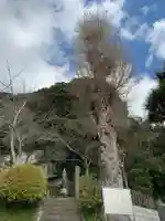 覚翁寺のその他建物