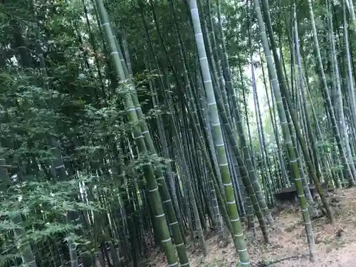 高台寺（高台寿聖禅寺・高臺寺）の周辺