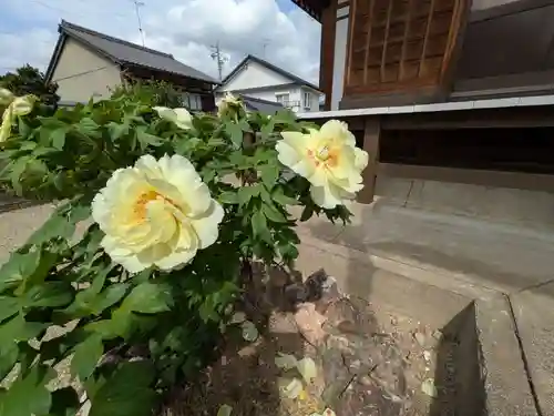 立蔵寺(岐阜県)