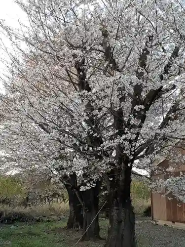 伏木香取神社の自然