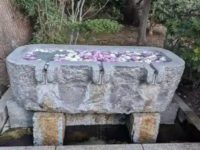 千鳥ヶ淵戦没者墓苑(東京都)