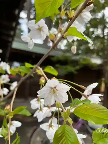 琴似神社の庭園