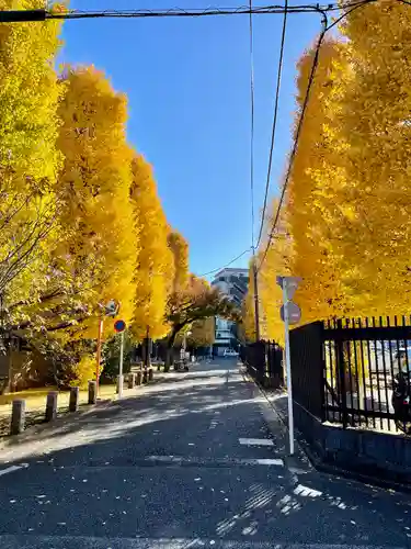 愛染院(東京都)