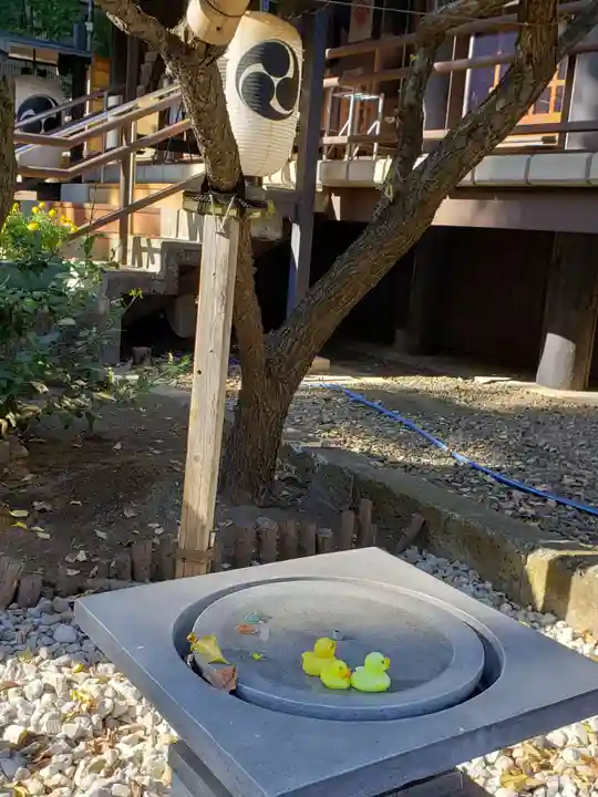 高円寺氷川神社の庭園