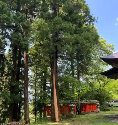 蚊里田八幡宮(長野県)