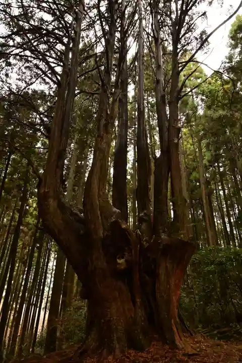 祇園神社(宮崎県)