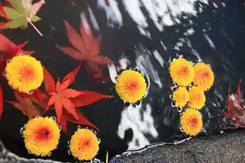 大鏑神社の手水