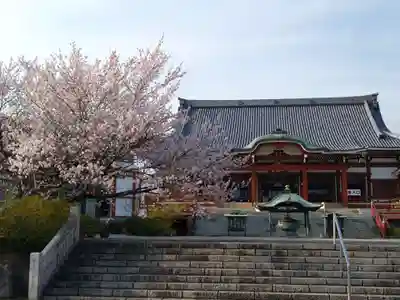 一畑山薬師寺 岡崎本堂(愛知県)
