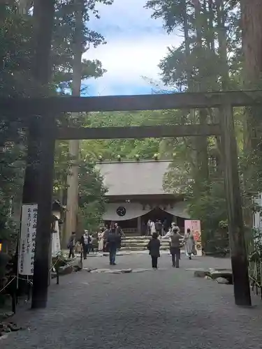 椿大神社の鳥居