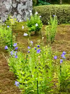 天得院(京都府)