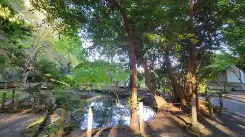 伊雜宮（皇大神宮別宮）の自然