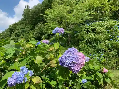 済渡寺の景色