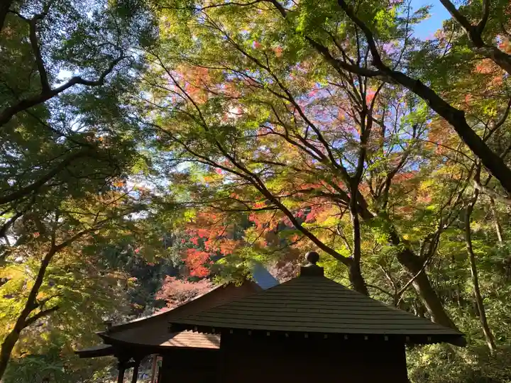 普門寺(切り絵御朱印発祥の寺)のその他建物