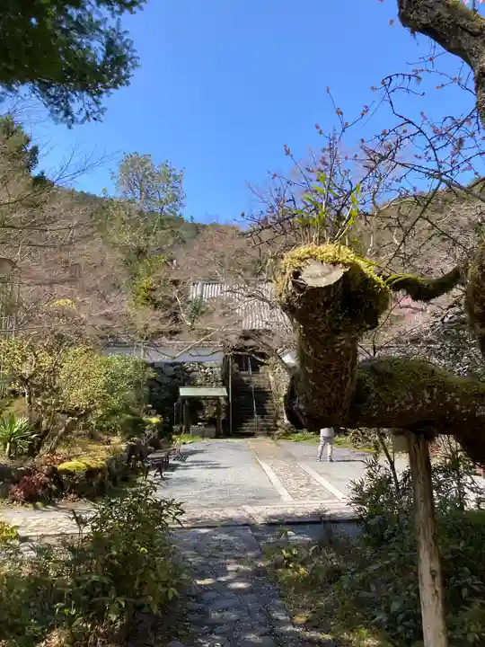 神藏寺(京都府)