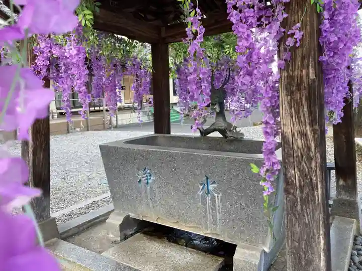 寺岡山元三大師(栃木県)