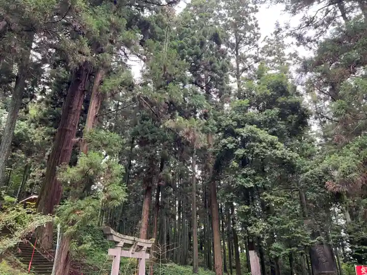 大宮温泉神社(栃木県)