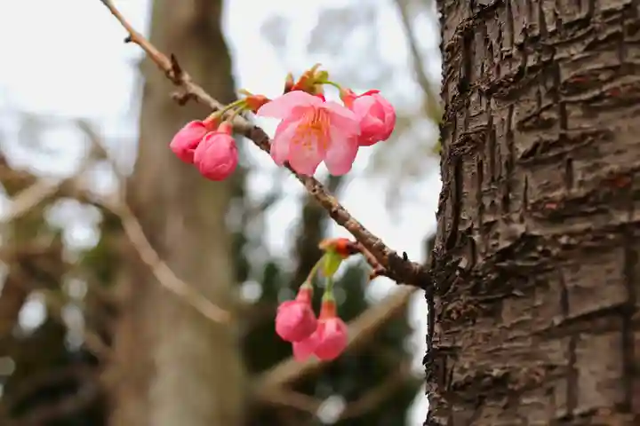 三津厳島神社(愛媛県)