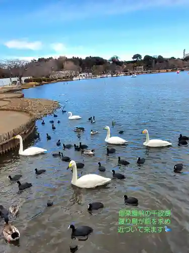 常磐神社(茨城県)
