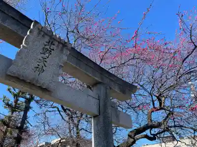 北野天神（仲六郷北野神社）の{uncategorized: "未分類", other: "その他", undefined: "問題あり", building: "その他建物", grave: "お墓", sacred_gate: "鳥居", guardian: "狛犬", statue: "像", buddha: "仏像", history: "歴史", nature: "自然", garden: "庭園", animal: "動物", pagoda: "塔", temizu: "手水舎", mountain_gate: "山門・神門", sanctuary: "本殿・本堂", subordinate: "末社・摂社", art: "芸術", scenery: "景色", jizo: "地蔵", ema: "絵馬", goshuin: "御朱印", omikuji: "おみくじ", items: "授与品その他", amulet: "お守り", goshuincho: "御朱印帳", eats: "食事", festival: "お祭り", votive_dance: "神楽", shichigosan: "七五三参", wedding: "結婚式", experience: "体験その他", initially: "初詣", around: "周辺", anti_infection: "感染症対策"}