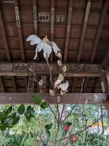 赤坂氷川神社(東京都)