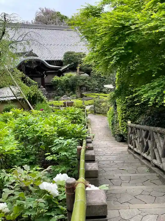 東長谷寺 薬王院のその他建物