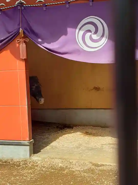 神田神社(神田明神)の動物