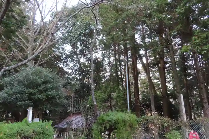 杉森神社の自然