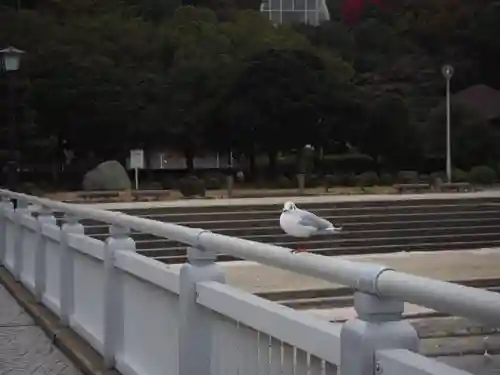 八百富神社の動物