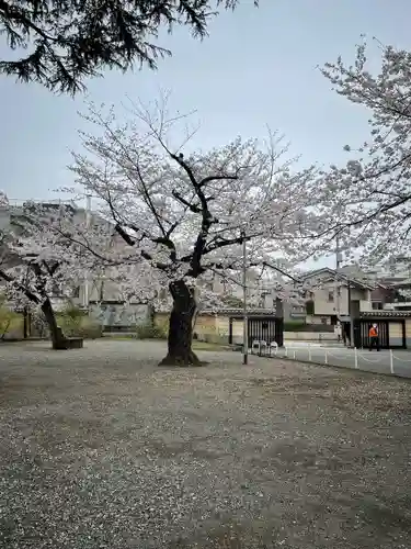 寛永寺(根本中堂)(東京都)