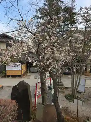 鎮守氷川神社の{uncategorized: "未分類", other: "その他", undefined: "問題あり", building: "その他建物", grave: "お墓", sacred_gate: "鳥居", guardian: "狛犬", statue: "像", buddha: "仏像", history: "歴史", nature: "自然", garden: "庭園", animal: "動物", pagoda: "塔", temizu: "手水舎", mountain_gate: "山門・神門", sanctuary: "本殿・本堂", subordinate: "末社・摂社", art: "芸術", scenery: "景色", jizo: "地蔵", ema: "絵馬", goshuin: "御朱印", omikuji: "おみくじ", items: "授与品その他", amulet: "お守り", goshuincho: "御朱印帳", eats: "食事", festival: "お祭り", votive_dance: "神楽", shichigosan: "七五三参", wedding: "結婚式", experience: "体験その他", initially: "初詣", around: "周辺", anti_infection: "感染症対策"}